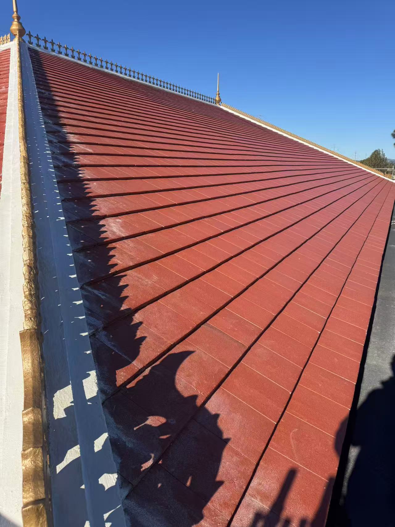 Clean roof lines